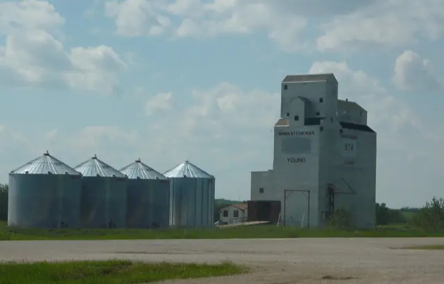 The grain elevator and steel bins